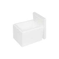 Κουτί EPS 17,5 L, 400 x 300 x 300 mm
